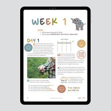 Load image into Gallery viewer, preview of week 1 day 1 of step into strings beginner violin course as shown on an ipad