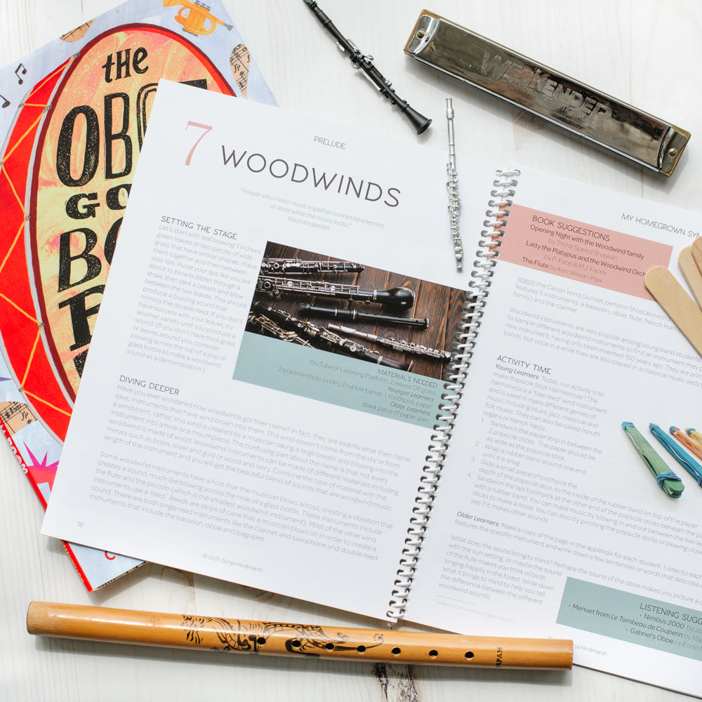 two page spread of a children's homeschool curriculum about music featuring a lesson on woodwinds